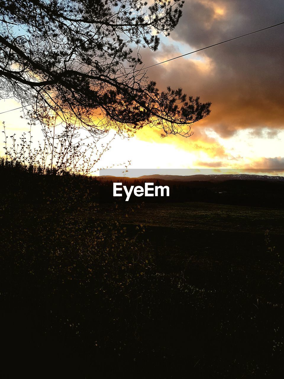 SCENIC VIEW OF FIELD AGAINST SKY DURING SUNSET