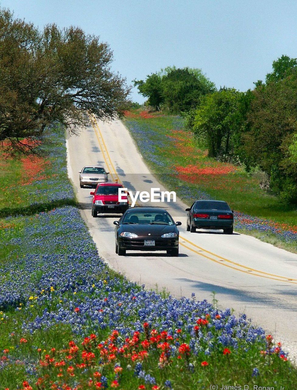 VIEW OF ROAD ALONG TREES