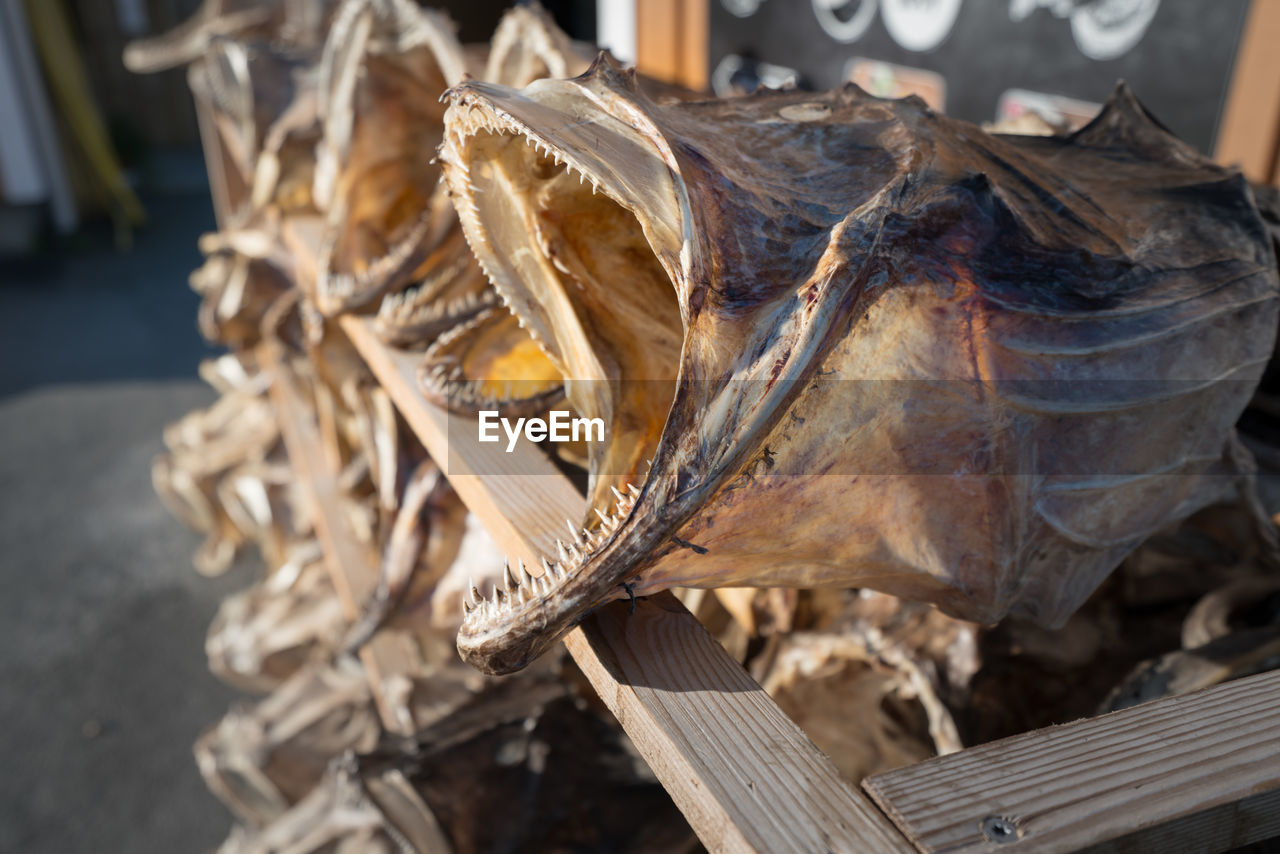 Closeup of a lot of big, dried fish with open mouth and sharp teeth laid in a wooden stand 