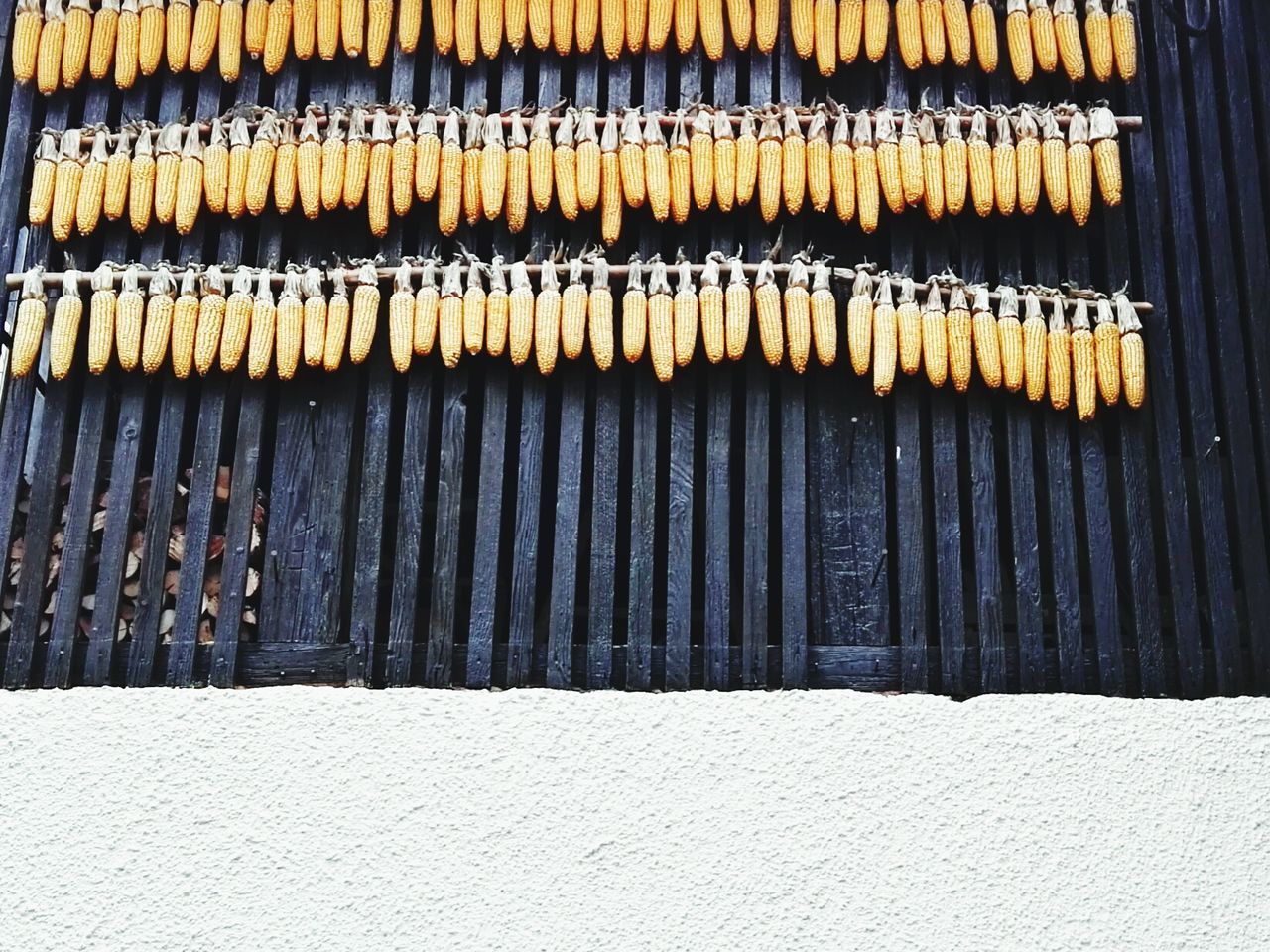 Close-up of corn cobs hanging outdoors