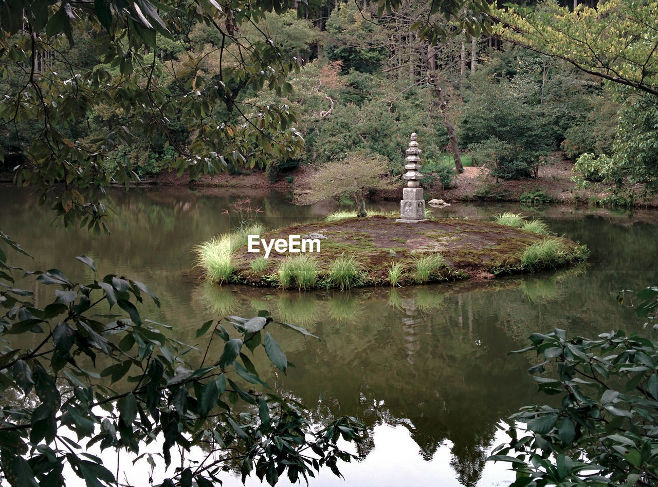 REFLECTION OF TREES IN WATER