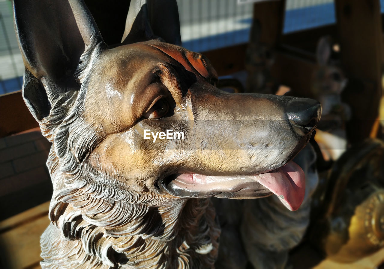 CLOSE-UP OF DOG LOOKING AWAY OUTDOORS