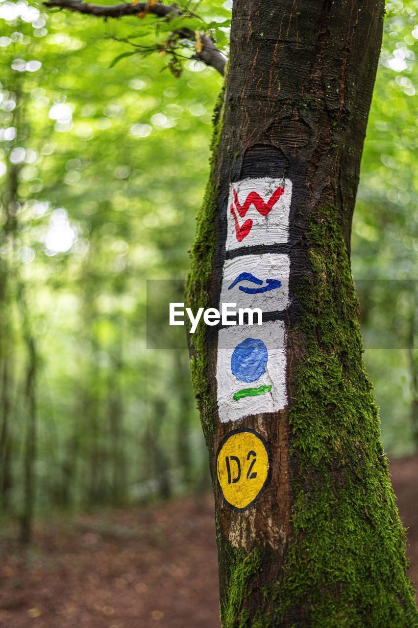 WARNING SIGN ON TREE TRUNK