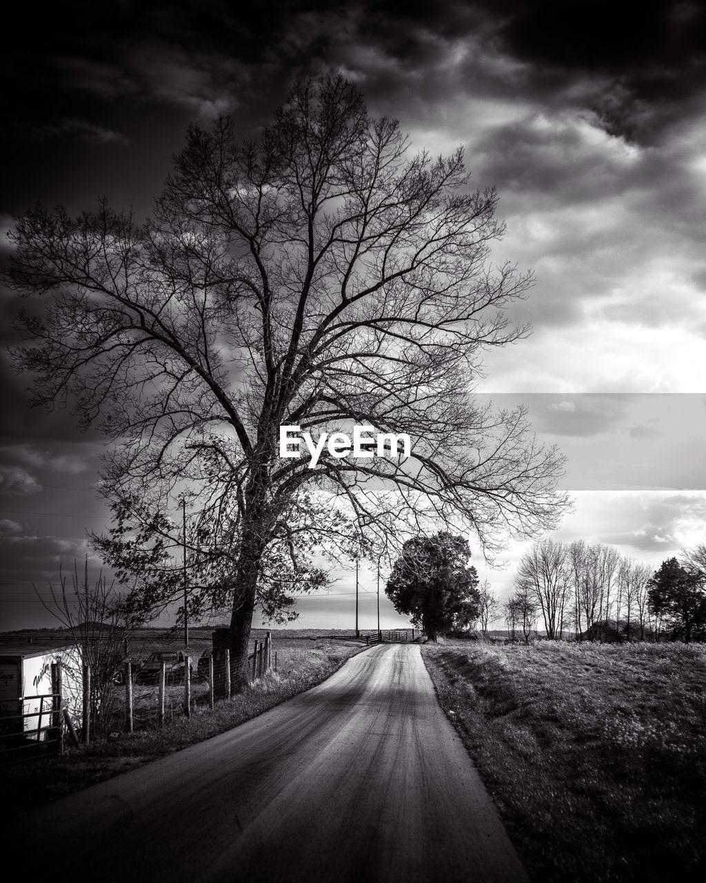 Empty road by bare tree against cloudy sky at dusk