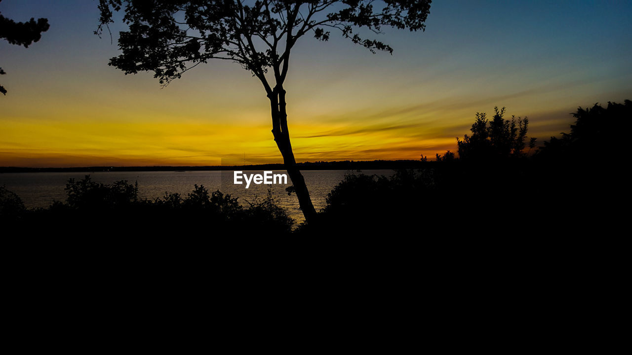 SILHOUETTE TREES AGAINST SKY DURING SUNSET