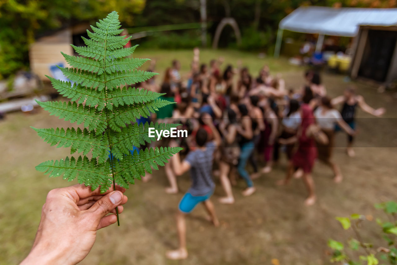 Cropped hand of man holding leaf against crowd