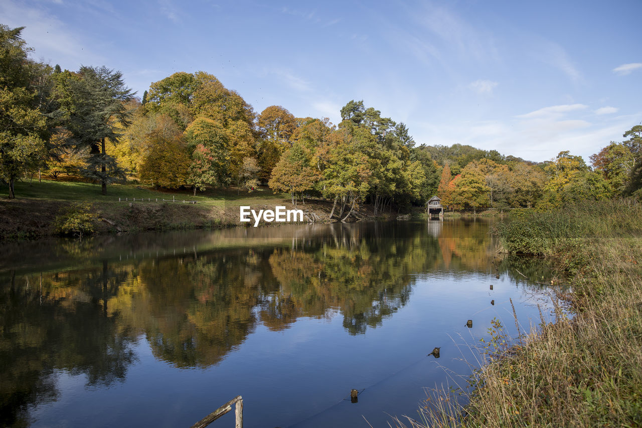 SCENIC VIEW OF LAKE AND TREES AGAINST SKY