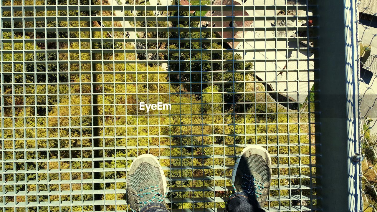 Low section of man standing on bridge against trees