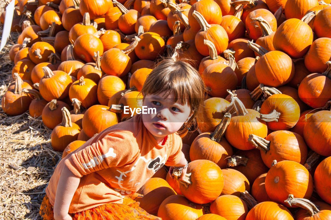 High angle view of cute girl standing against pumpkins
