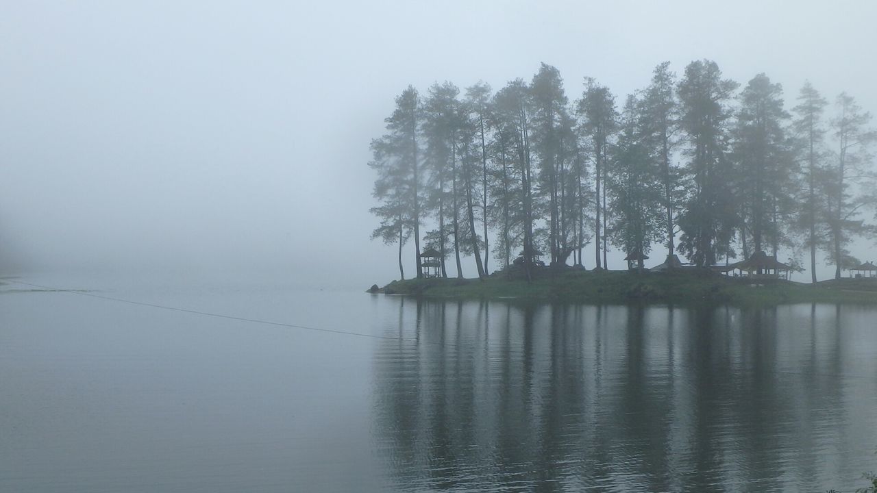 TREE BY LAKE AGAINST SKY