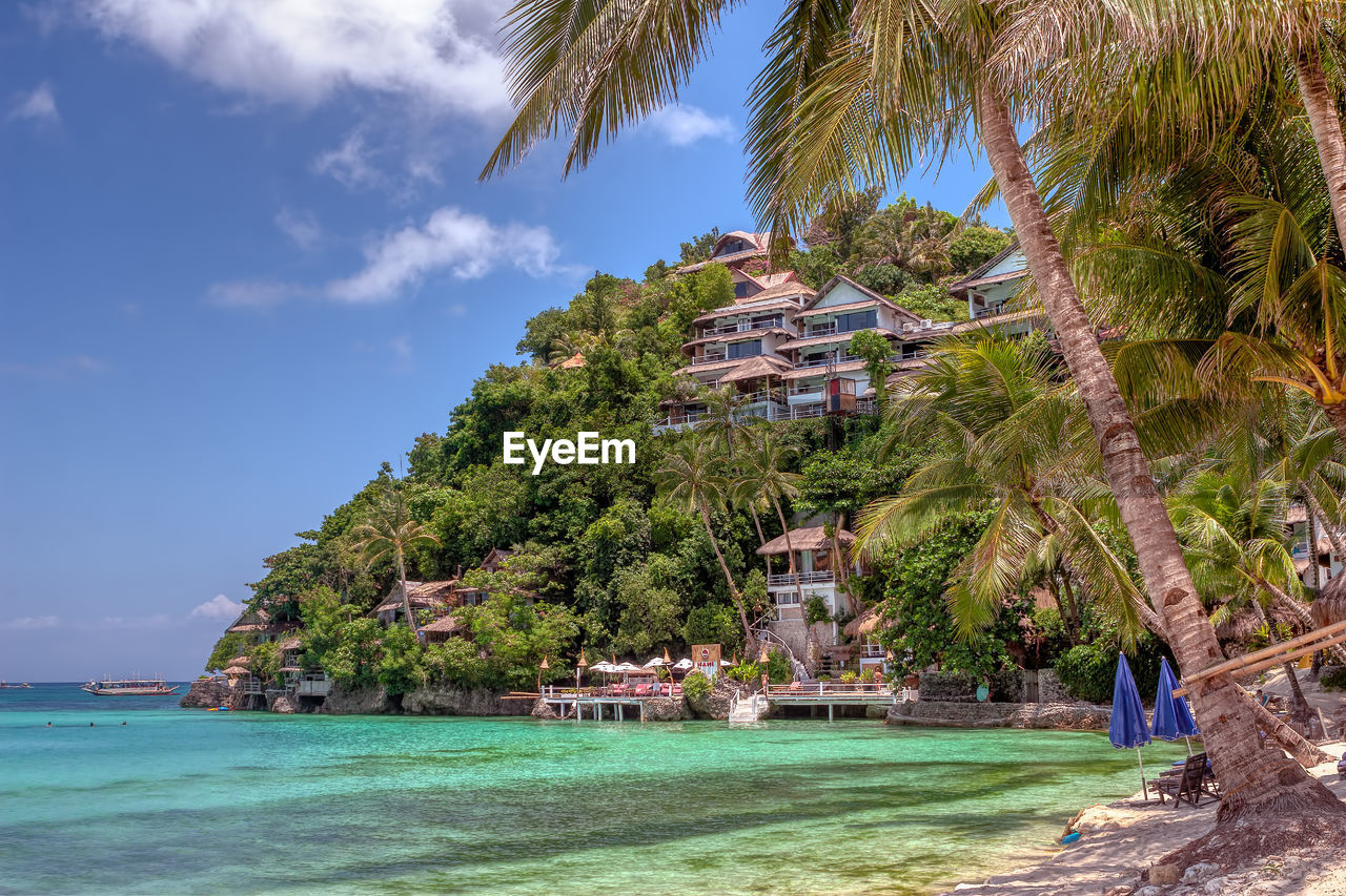 PALM TREES AT SEASIDE