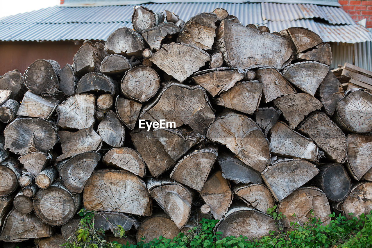 CLOSE-UP OF LOGS ON LOG IN FOREST