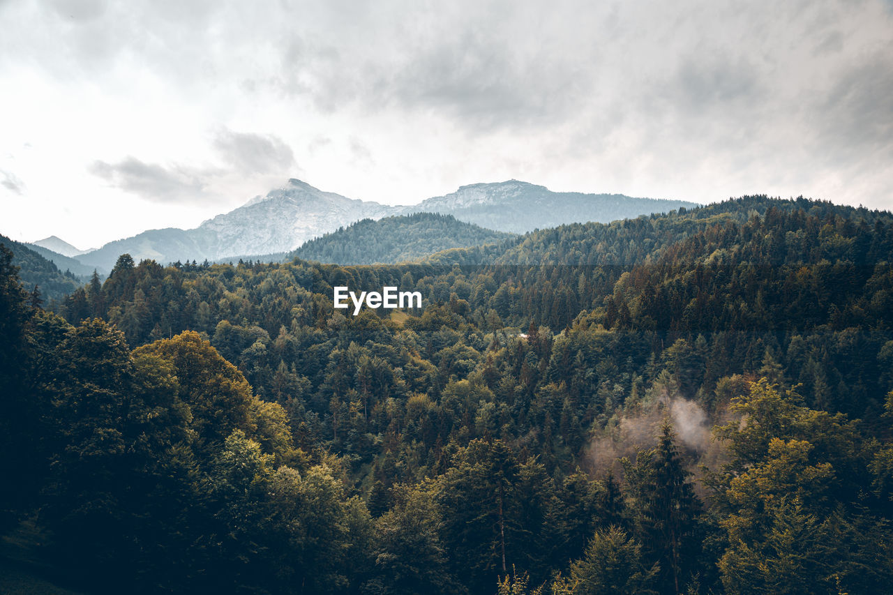 Scenic view of trees and mountains against sky