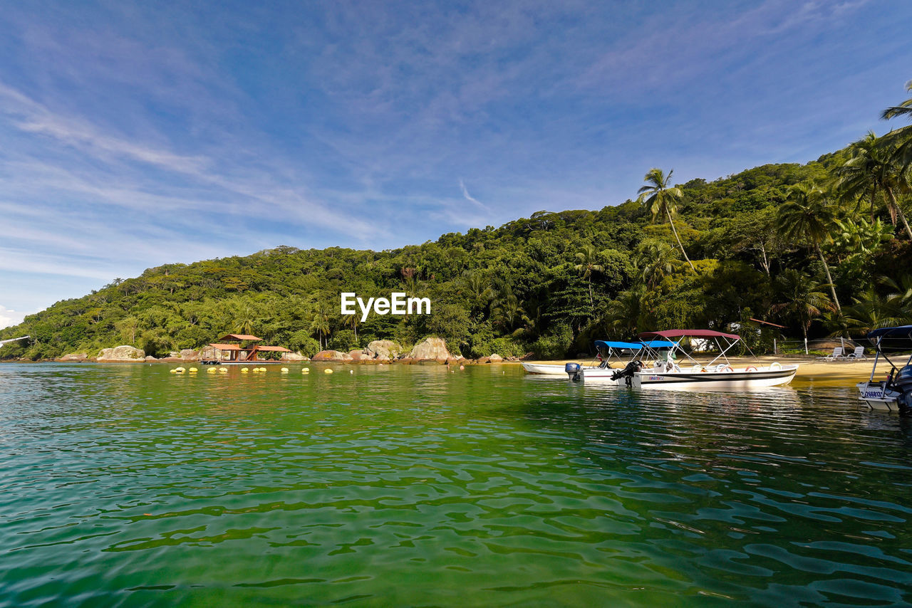 SCENIC VIEW OF SEA BY TREE MOUNTAIN AGAINST SKY