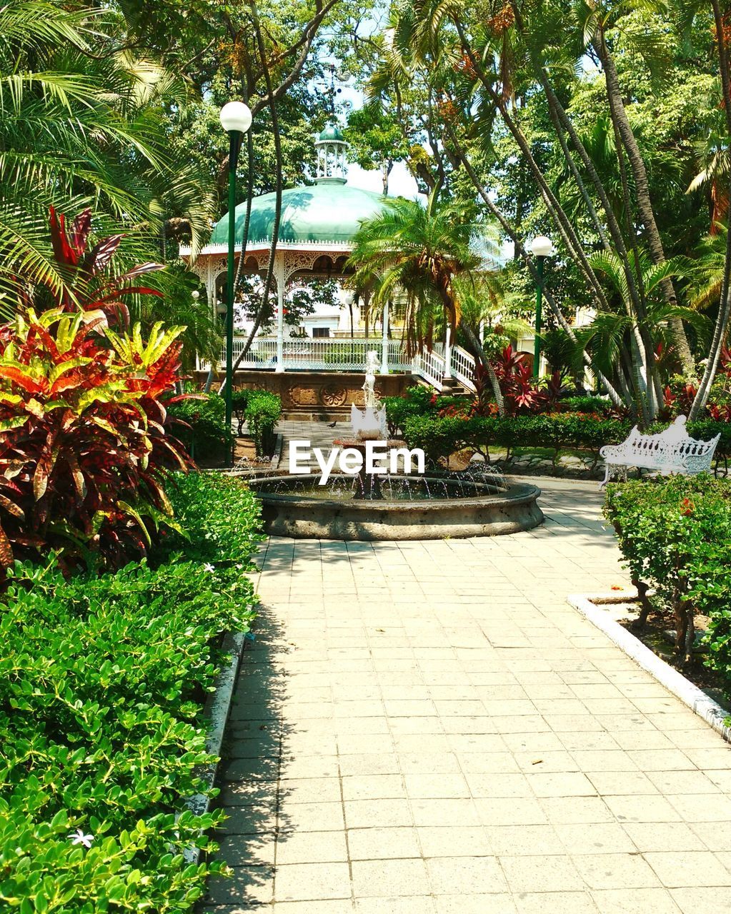 NARROW WALKWAY IN GARDEN