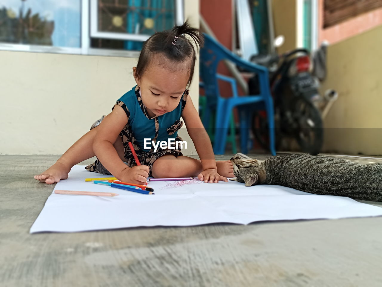 Girl drawing on paper while sitting by cat on floor at home