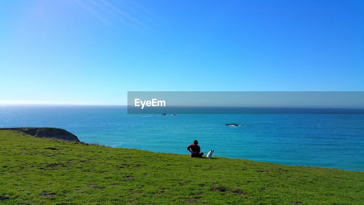 Person sitting with dog on field over sea against clear blue sky