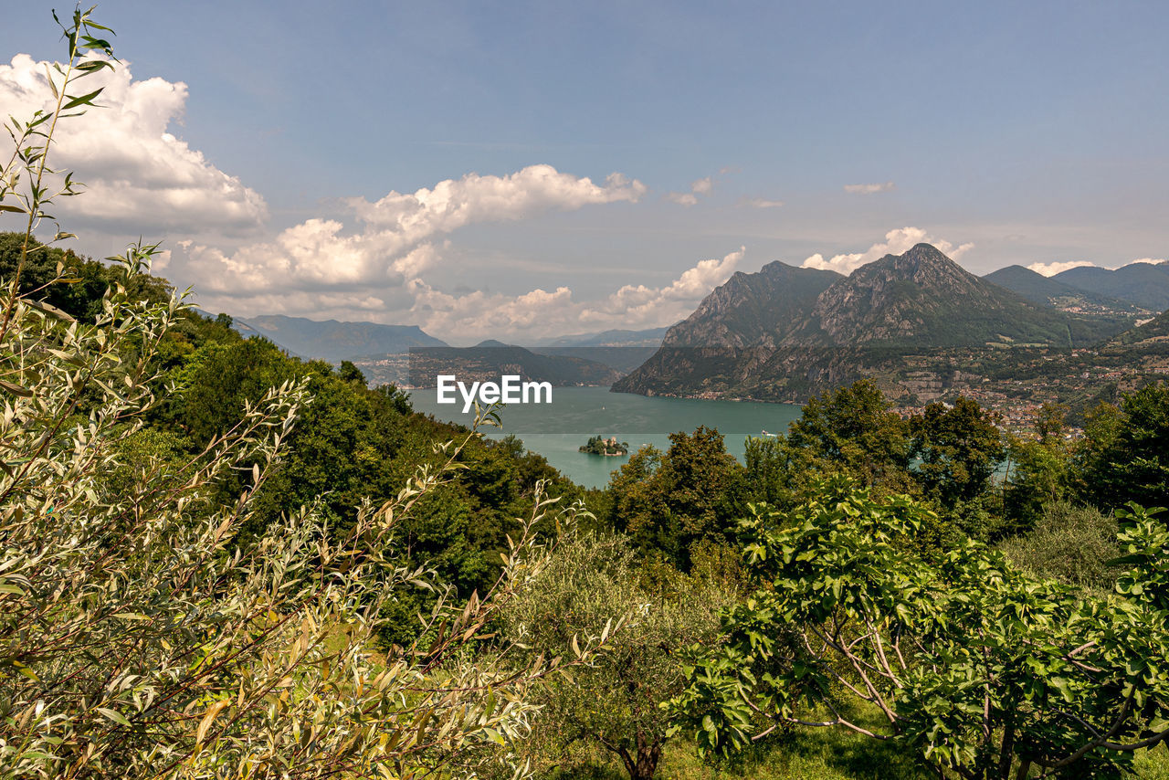 Scenic view of plants and mountains against sky