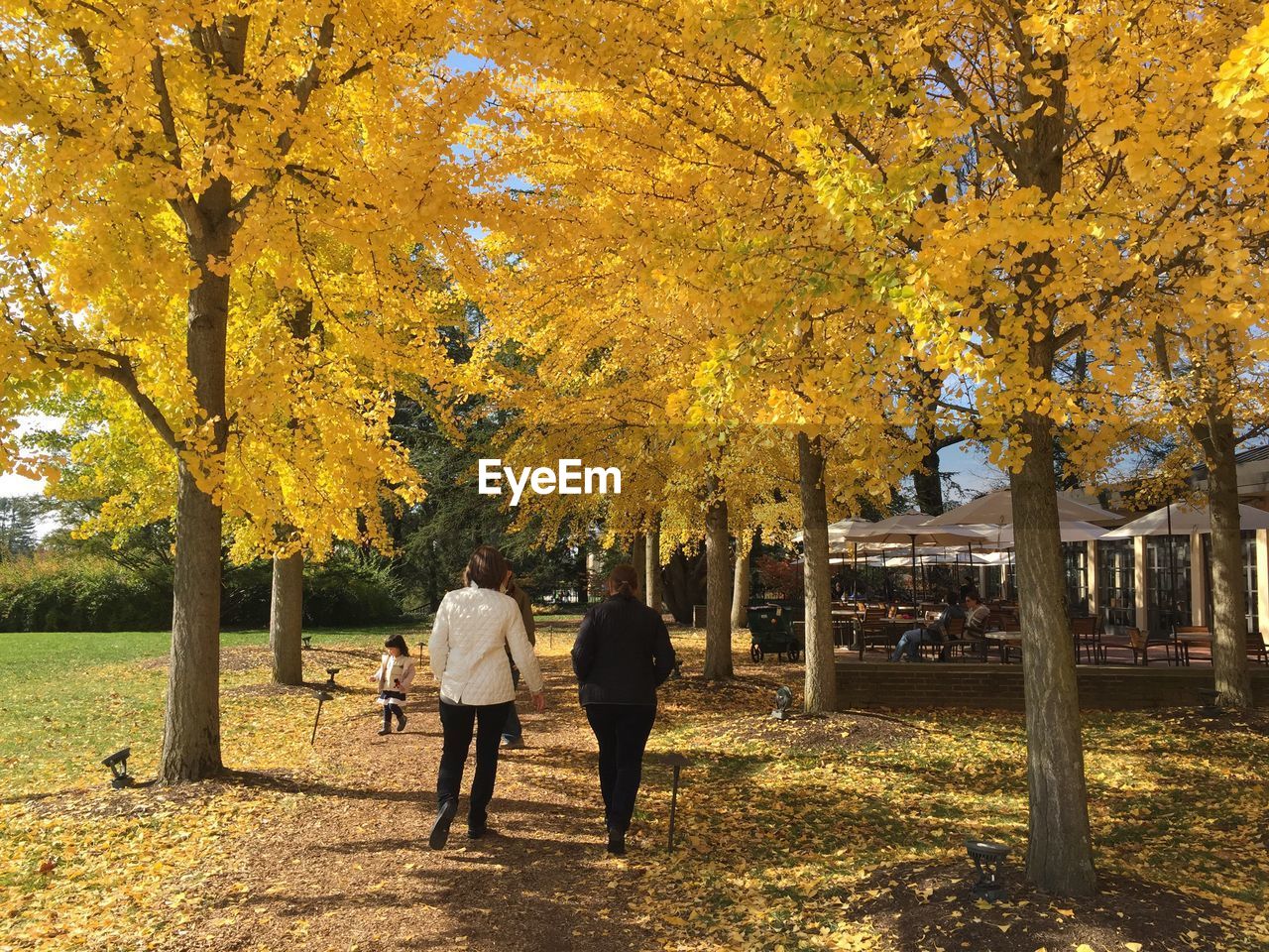 PEOPLE WALKING ON AUTUMN LEAVES