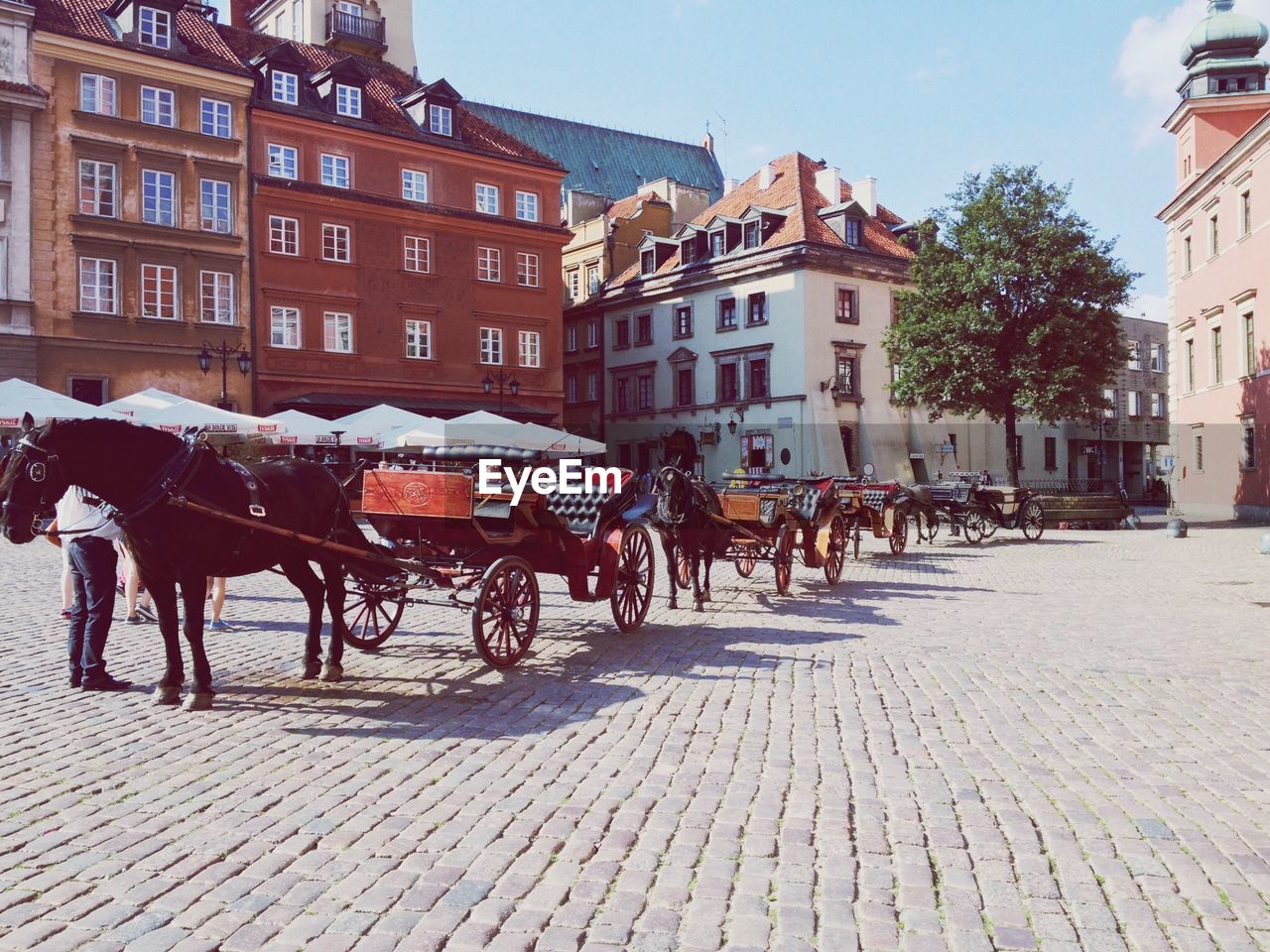 Empty horse carts parked in town square