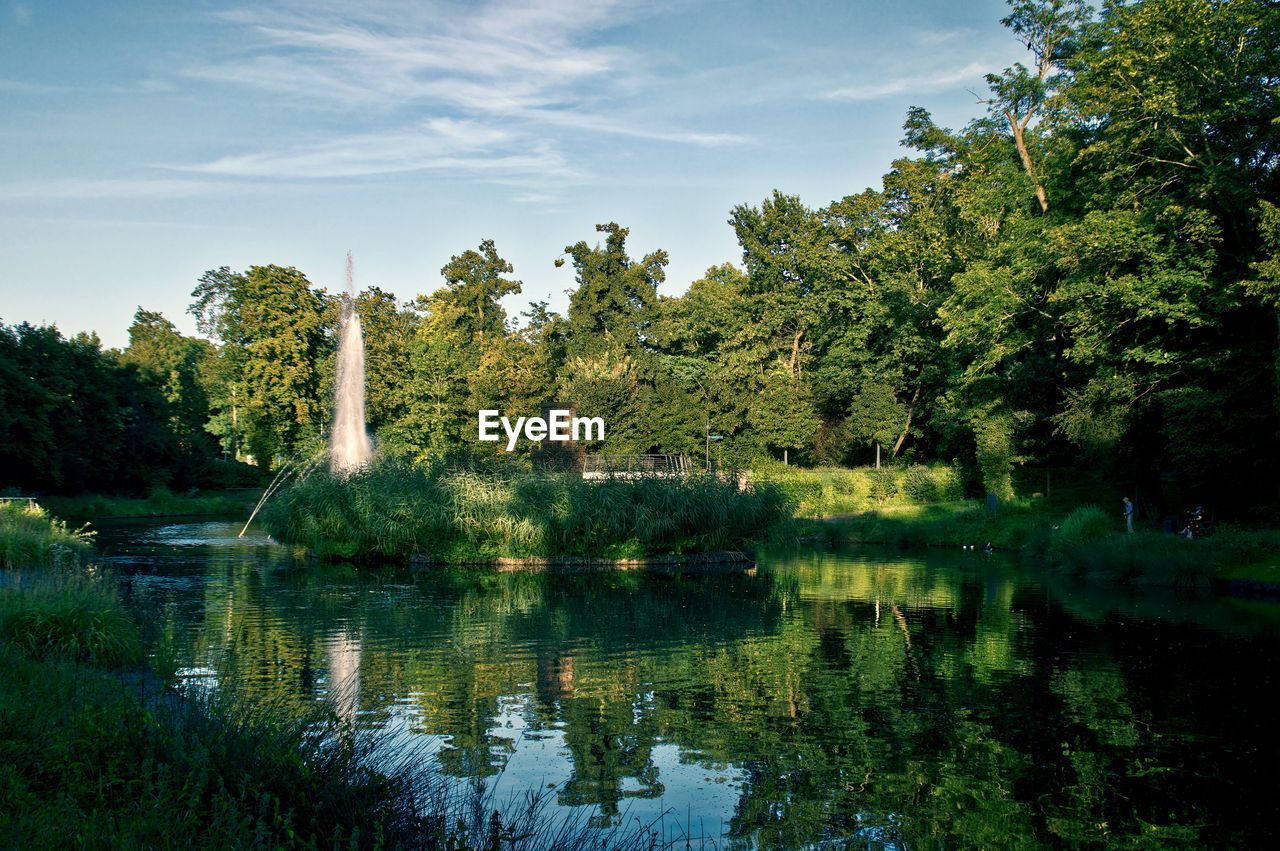 Trees by lake against sky