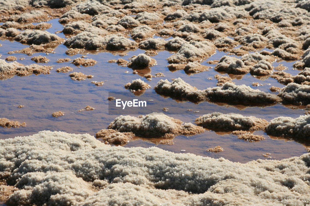 Expanse of salt in sardinia