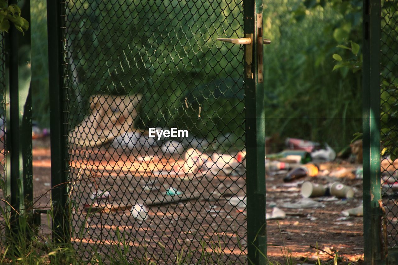 View of chainlink fence and trees on field