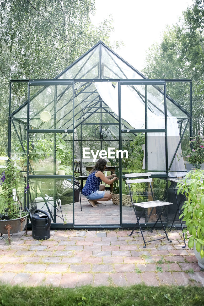 Woman in greenhouse