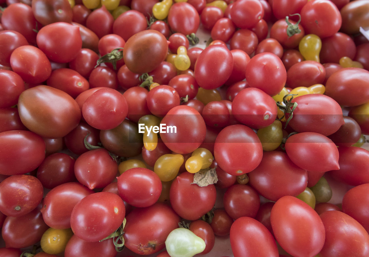 food and drink, food, healthy eating, freshness, wellbeing, plant, large group of objects, fruit, produce, red, tomato, abundance, vegetable, full frame, backgrounds, no people, still life, close-up, market, retail, for sale, raw food, plum tomato, high angle view, organic, day