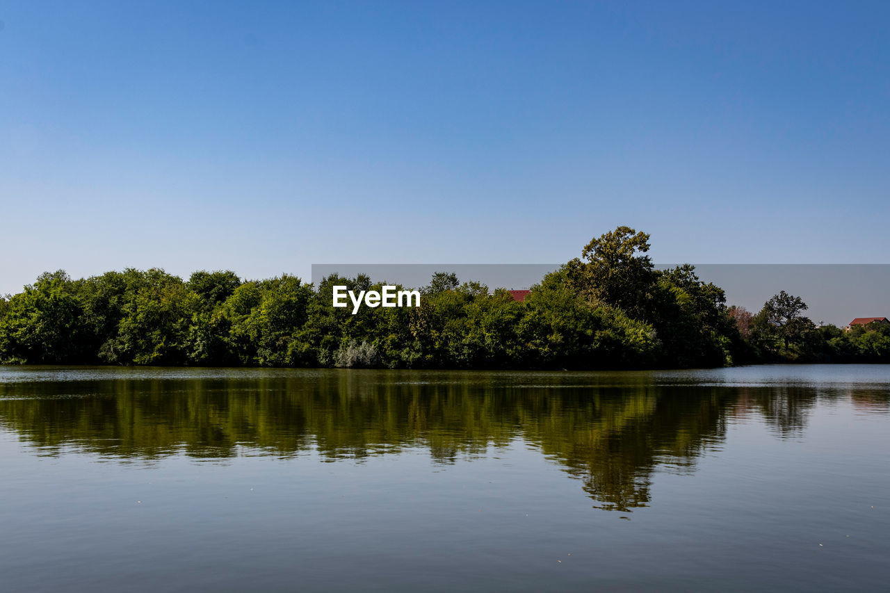 REFLECTION OF TREES IN LAKE AGAINST CLEAR SKY