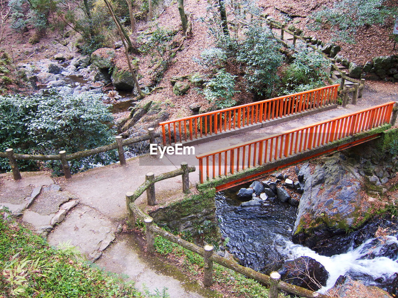 HIGH ANGLE VIEW OF FOOTBRIDGE OVER PLANTS