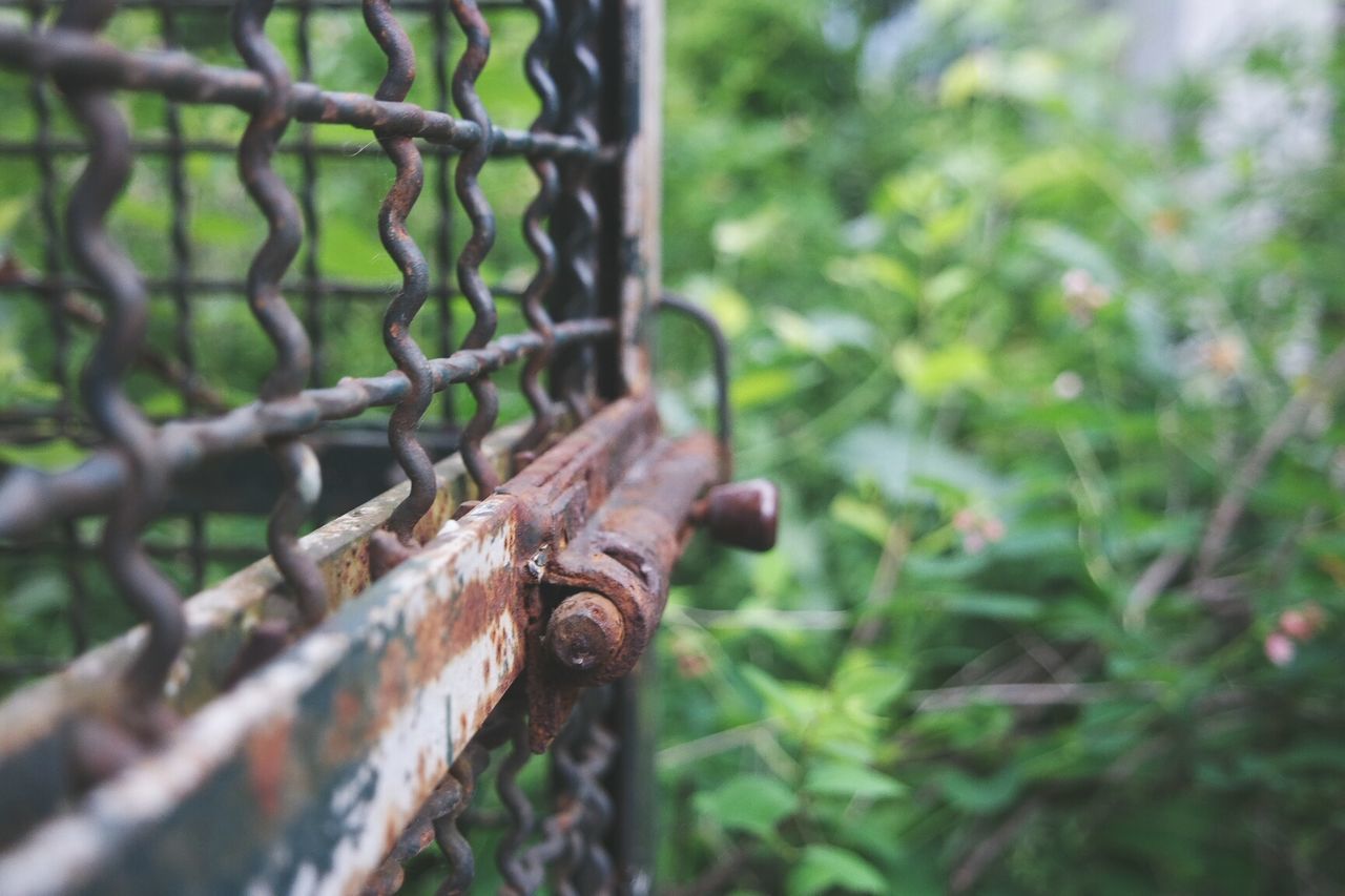 Close-up of old rusty metallic gate