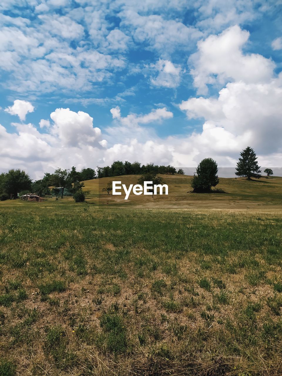 VIEW OF FIELD AGAINST SKY