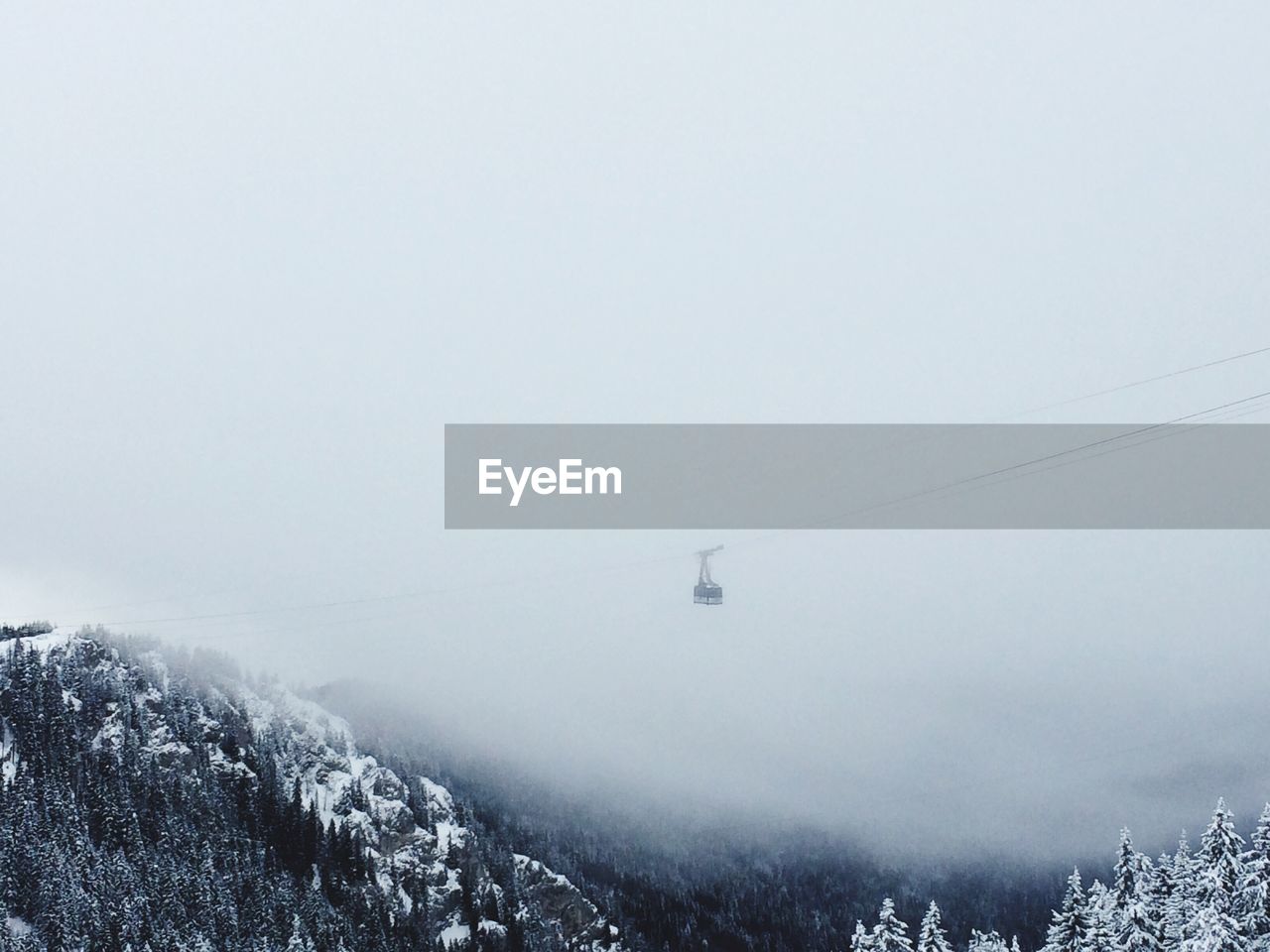 Scenic view of tree against sky during winter