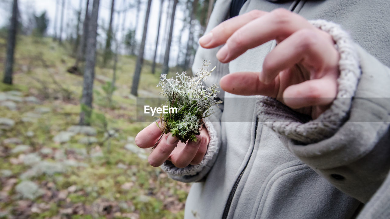 Midsection of woman holding plant at forest