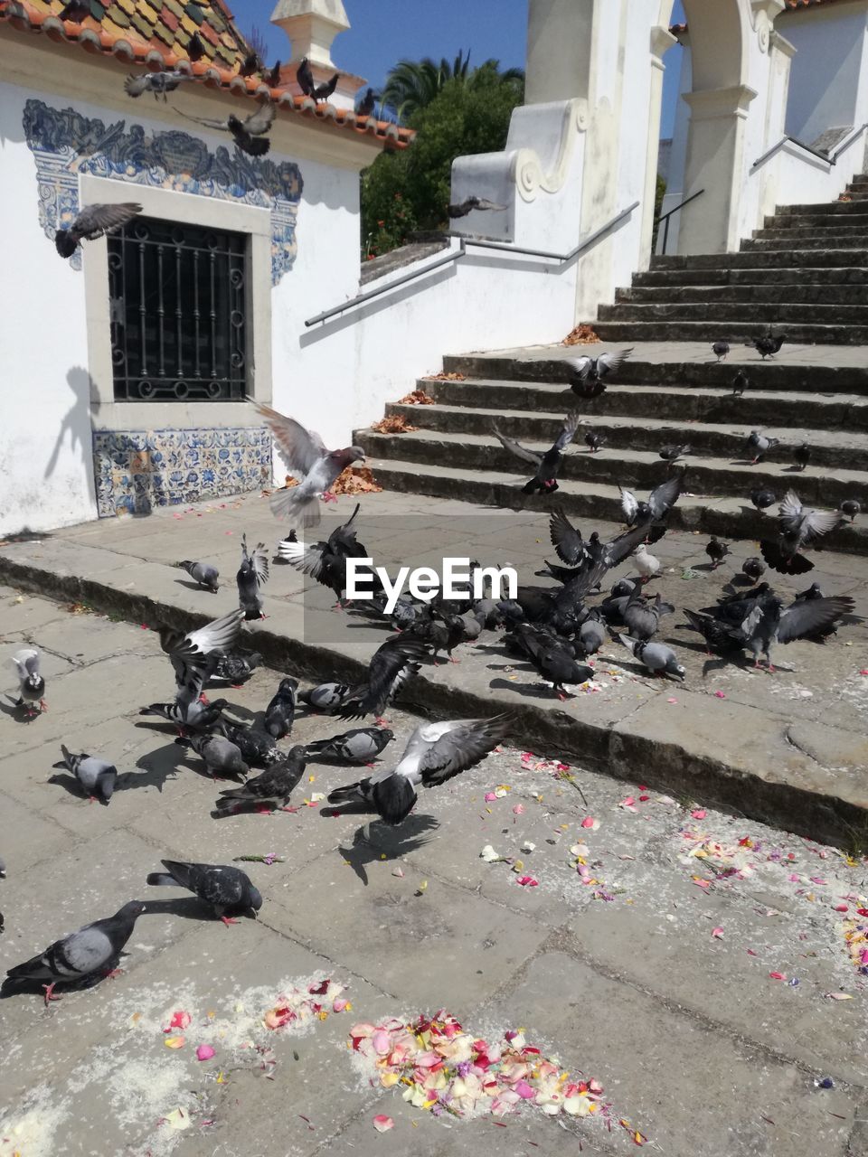 HIGH ANGLE VIEW OF STEPS AMIDST BUILDINGS