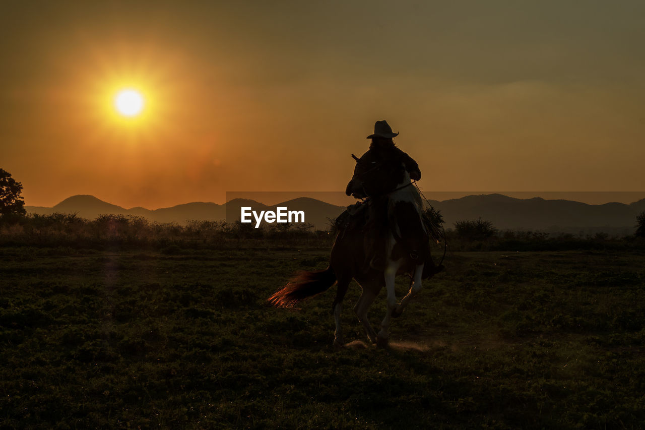 Man riding horse on field during sunset