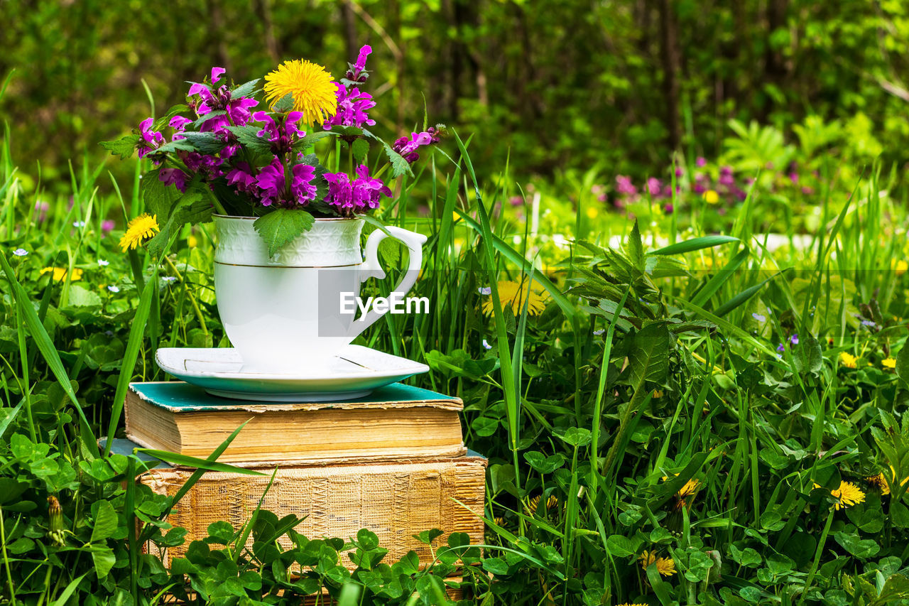 A white tea cup with a bouquet of wildflowers on a stack of old books in a meadow with green grass