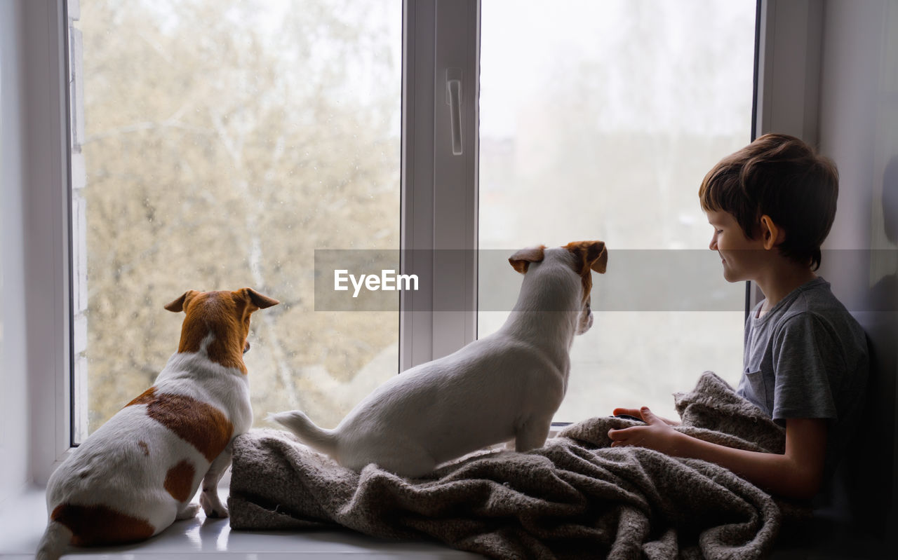Sad little boy and dogs look out the window during the coronavirus outbreak.