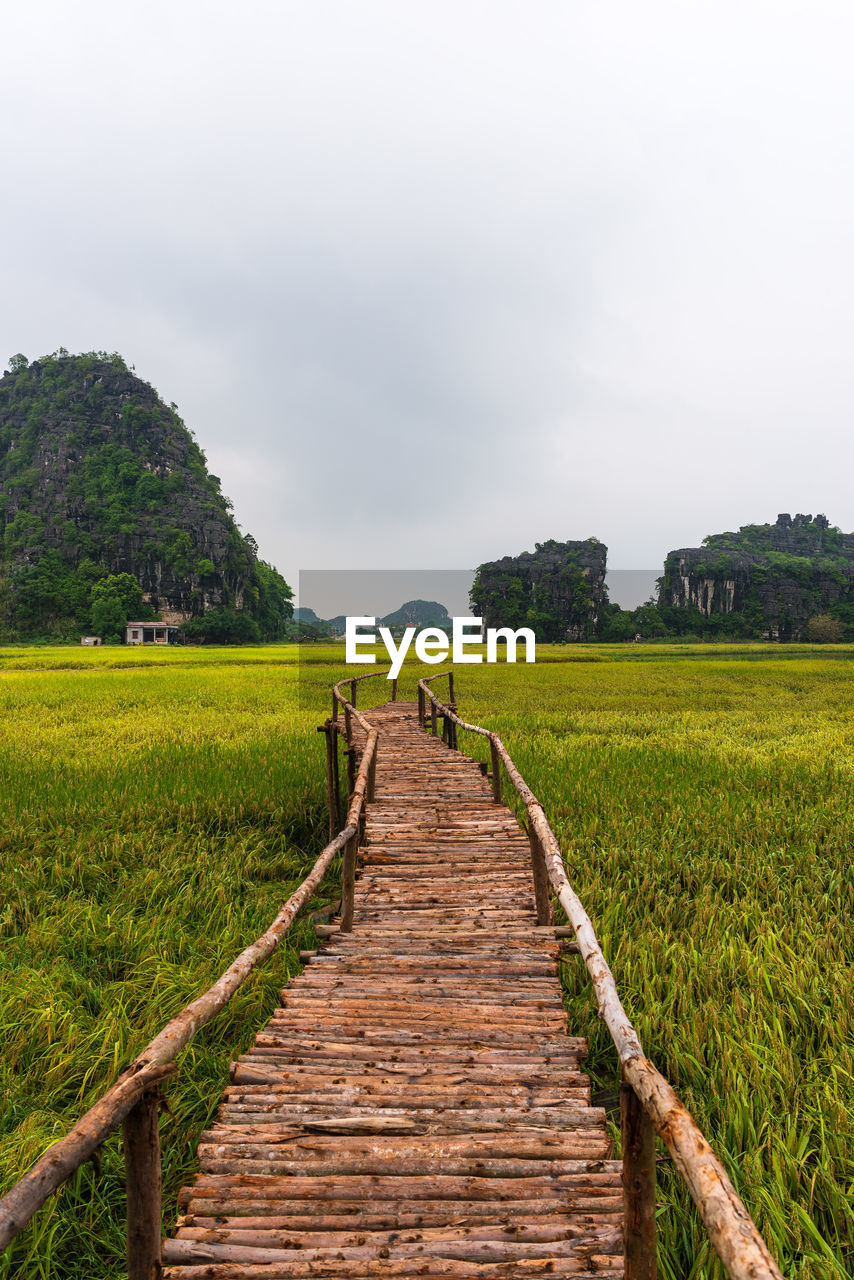 FOOTPATH AMIDST FIELD
