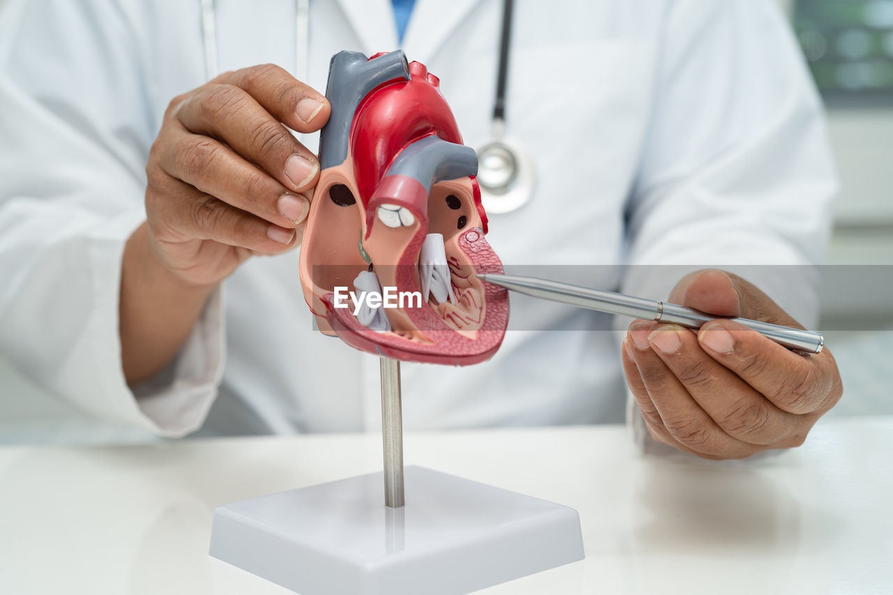 midsection of scientist holding dentures in laboratory