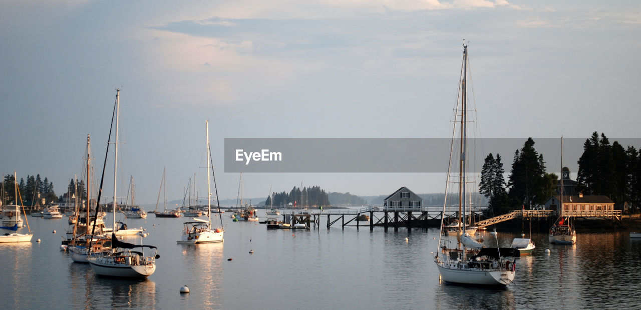 Boats moored at harbor against sky