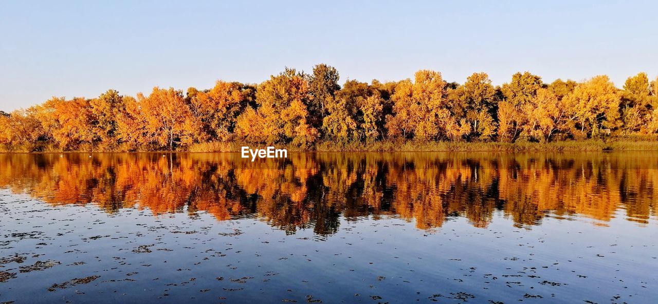 Reflection of trees in lake against sky during autumn