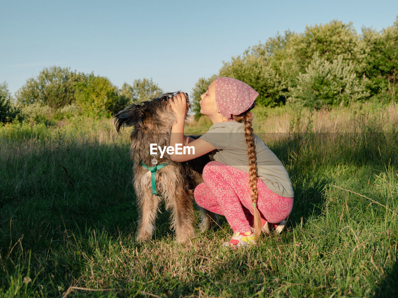 Little girl hugging playing with dog walking spending time together. child with pet in summer meadow