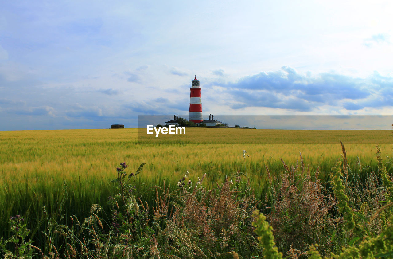 View of field against sky