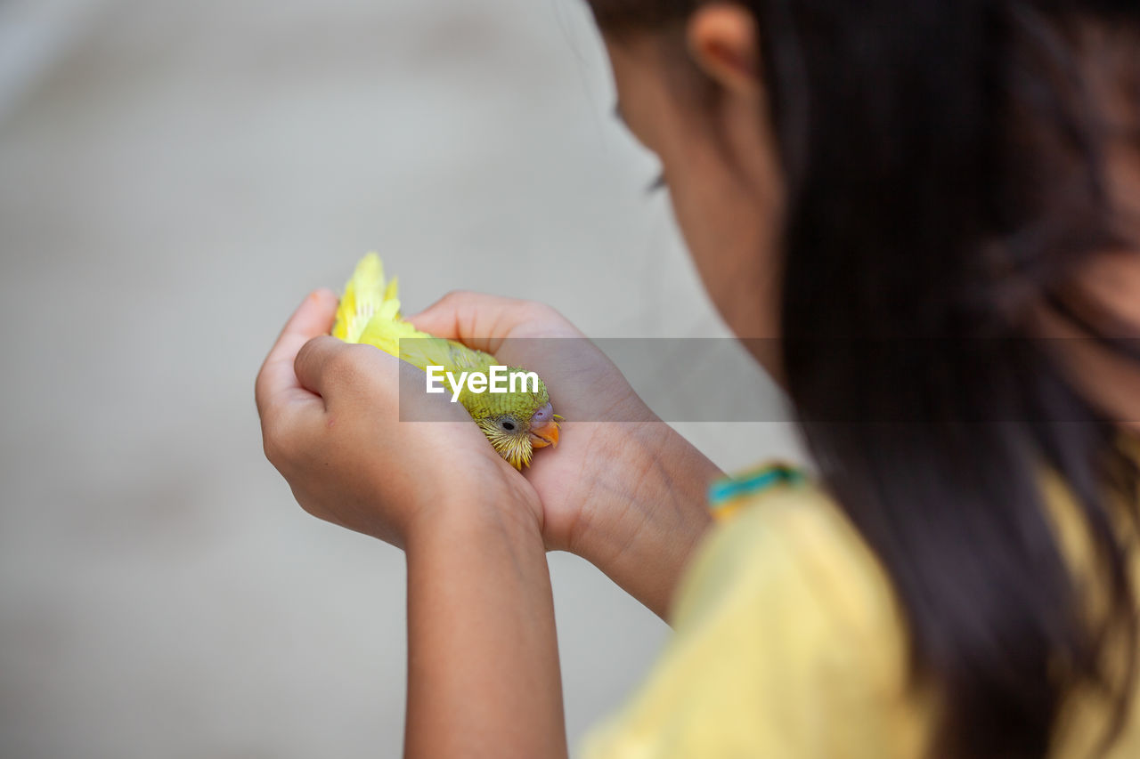 Close-up of girl holding bird outdoors