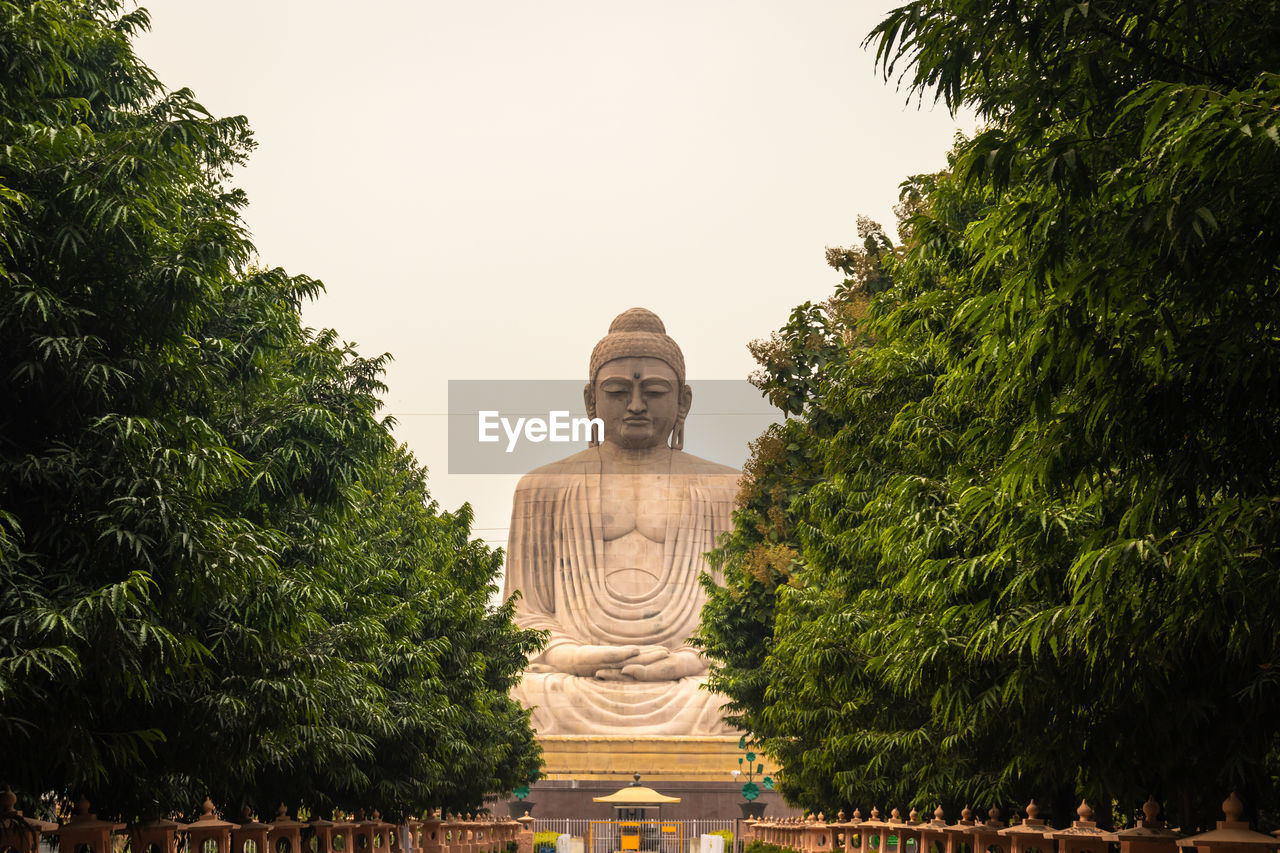 Budhha golden statue isolated in details 