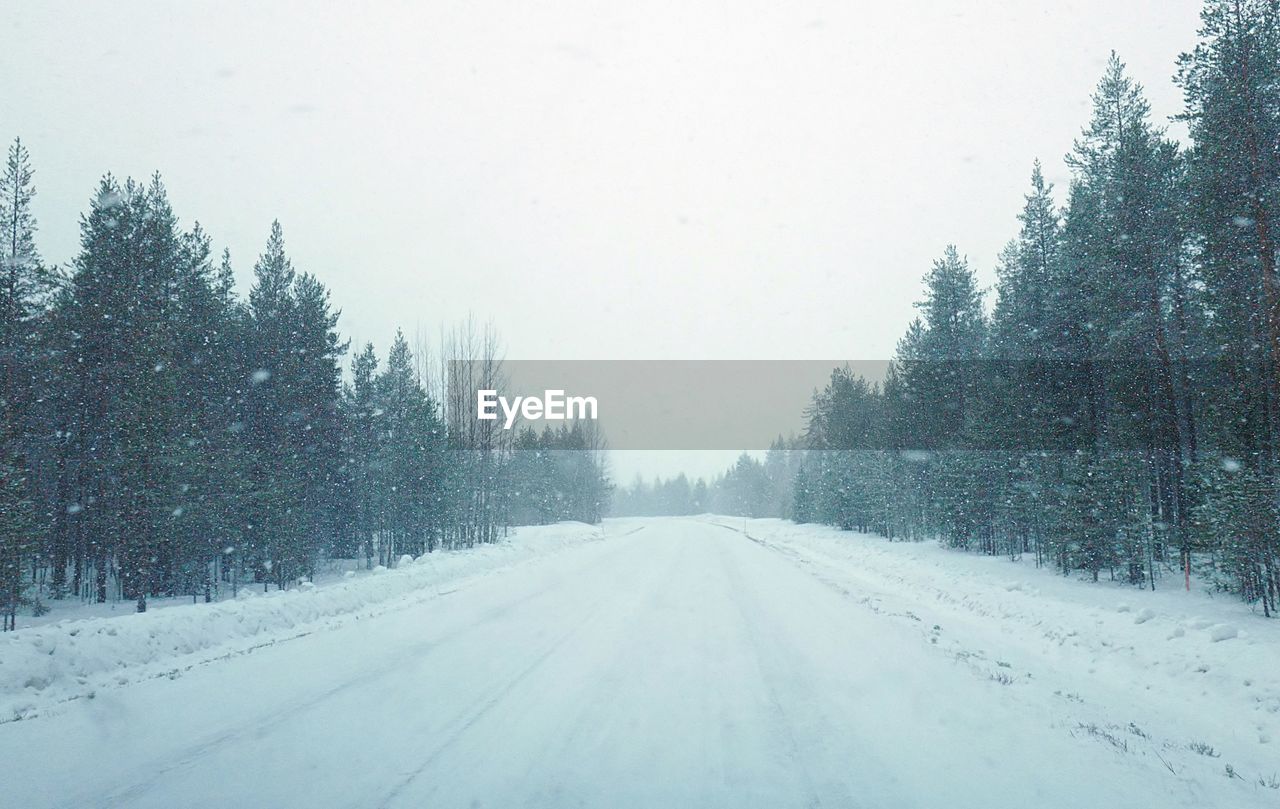 View of snow covered road in forest