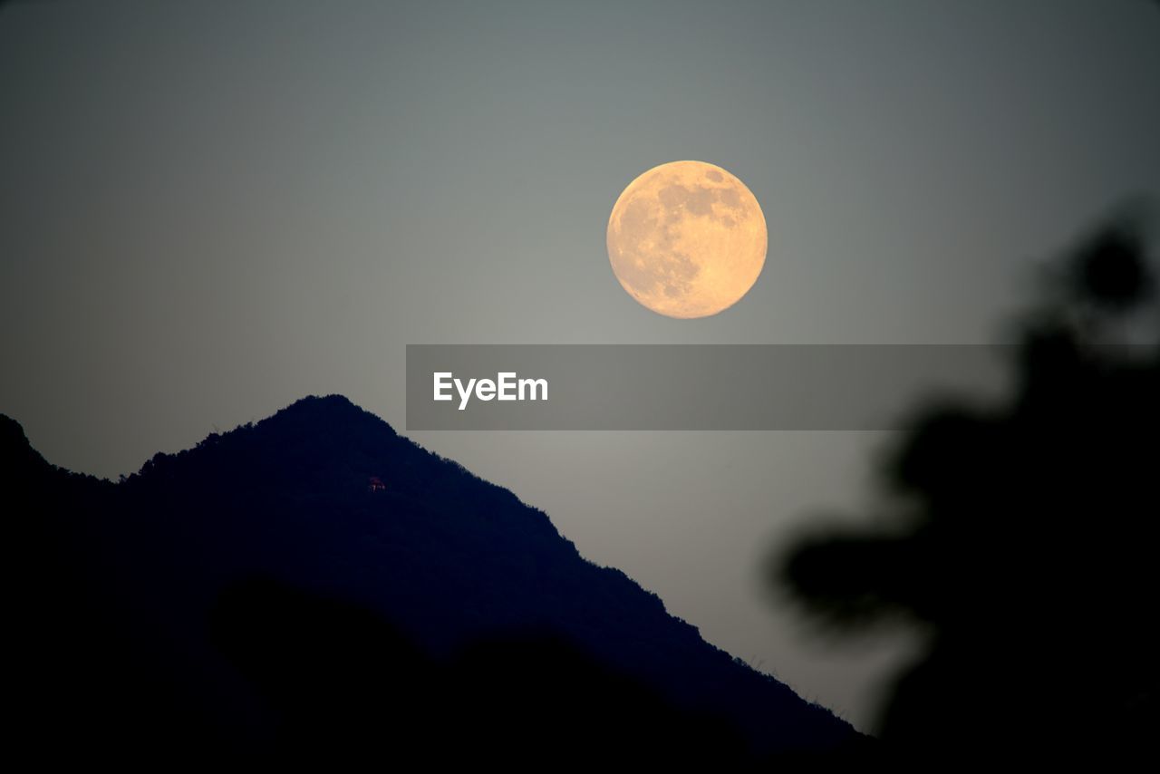 Low angle view of moon in sky at night