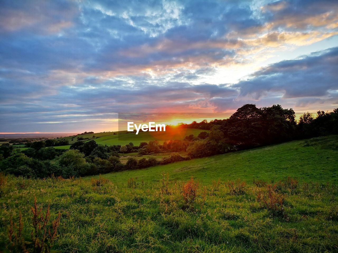 SCENIC VIEW OF FIELD AGAINST SKY AT SUNSET